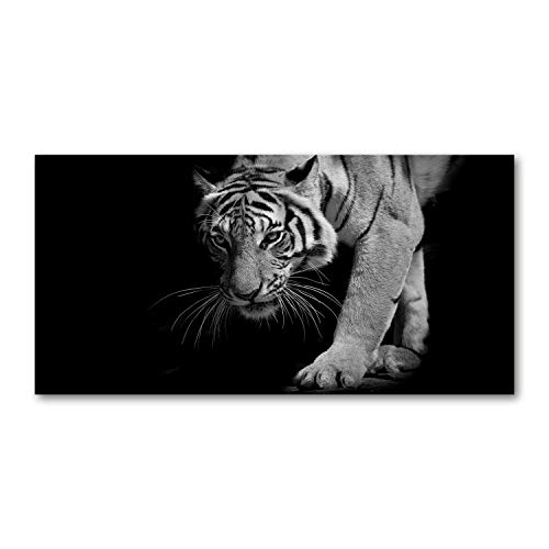 Crédence de cuisine fond de hotte verre trempé 100x50cm splashback guard tigre