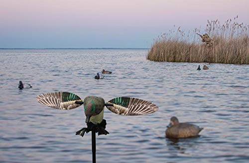 Montex Duck Decoy Spinning Wing with Remote Controller, Teal New Upgraded Realistic Material with Free Duck Call and Gear Bag for Duck Hunting