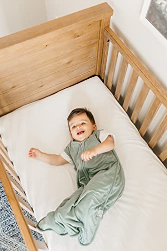 Image of Copper Pearl Baby Sleep Sack, Briar - Wearable Blanket for 0-6 Months, Sleeveless Sleep Sack for Baby Boy or Girl