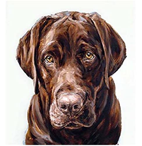 Peinture au diamant 5D chien noir pour sublimer votre décoration murale de salon