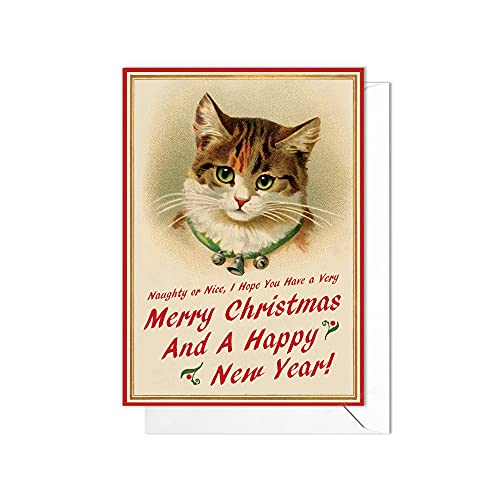 C10 Carte de vœux de Noël avec enveloppe Motif chats et chatons Cover