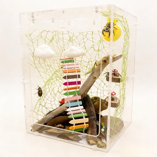 gluzoo 13 Pcs Jumping Spider Habitat Accessories Kit, Sky Garden Decor with Cloud and Wooden Platforms, Sun and Mushroom Hideouts, Ladder and Web, No Enclosure Included (Rainbow)