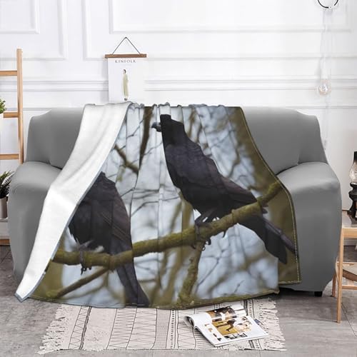 Couverture polaire douce plaid flanelle lit canapé jeté de lit corbeau noir 152x127