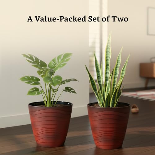 Image of Amazon Brand- Solimo Indoor and Outdoor Round 10 Inch Flower Planter Pot Best for Terrace /Balcony /Home /Office Decor - Set of 2