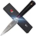 TUO Cutlery Paring Knife 3.5 inch, Japanese AUS-10 (VG10) High Carbon Damascus Steel, Peeling Fruit Vegetable Knives with Ergonomic G10 Handle - RING R Series
