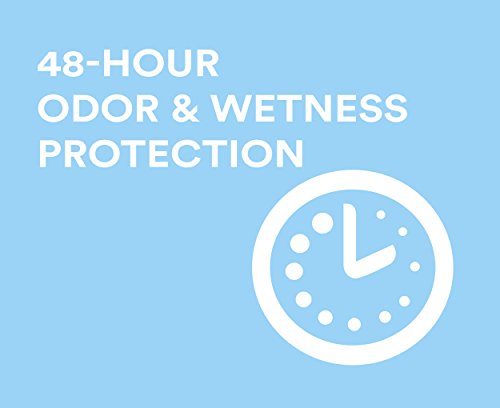 Secret Lavender 48h Invisible Solid 73g