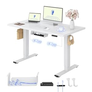 FLEXISPOT Höhenverstellbarer Schreibtisch mit 2 Motoren & 25MM EINTEILIGER Tischplatte 120x80 cm, Ergonomischer Bürotisch Elektrisch mit Kabelmanagement, Memory Funktion & Höhenanzeige