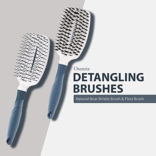 Detangling Paddle Brush Set - No Tangle Hair Brush For Kids, Men, And Women – Shine Brush Promotes Hair Growth And Eliminates Breakage - Pain-Free Natural Boar Bristle Hair Brush For Kids, Women, And #TOP1