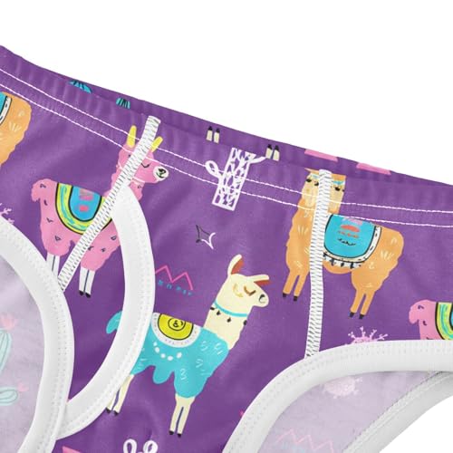 Colorful Llamas Cacti Purple Toddler Boy's Underwear 2T 202c12234