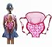 XADP Baby Dolls Carrier Backpack Doll Accessories Front and Back Carrier with Straps for 15 Inch to 18 Inch Dolls, Doll Carrier