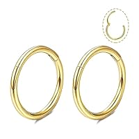 Ohrringe Gold Creolen Set, Silber dünn Nasenring Titan für Damen Herren 18G Septum Helix Tragus Conch Piercing Hypoallergen Knorpel Lippenpiercing Nasen Goldene Ohrringe 8mm