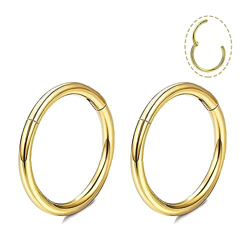 DAILI Anneau de nez en titane doré, 18G, bijoux de piercing au nez en argent, petites boucles d'oreilles en acier inoxydable, hélice, tragus, cartilage,...
