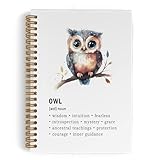 QLMX Owl Spiral Notebook, Night Owl Journal Notebook, Cute Owls Themed Notebooks for School Work, Owls Lovers Office Supplies Gifts for Women Kids Men, 5.5x8.3 Inch