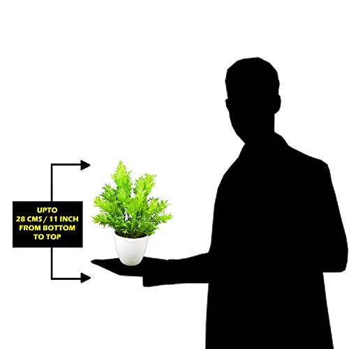 Image of fancymart Artificial Plants Parsley Leaves in Round Pot (28 cm