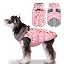 Lepard Pink