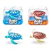 Robo Alive Robo Turtle Robotic Swimming Turtle (Orange + Blue) by ZURU Water Activated, with Batteries, (2 Pack)