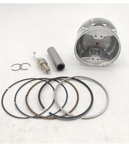 Kit de segment de piston pour rénover le quad YFM350X ATV - 5