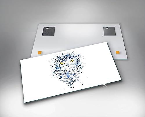 Tableau en verre 120x60cm chouette abstraite Wallfluent art intérieur