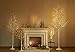 Hairui Lighted Birch Tree with Timer 24 LED 18IN Battery Operated Pre-lit Tree for Home Wedding Party Decoration Tabletop Centerpiece Inside