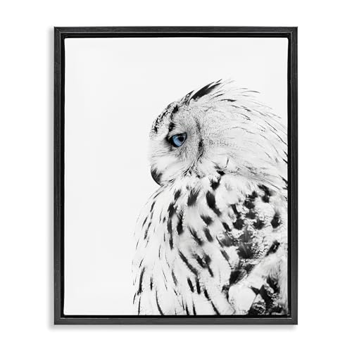 Snow Owl Peering Blue Eyes, 17 x 21 Inch Canvas in Floater Frame