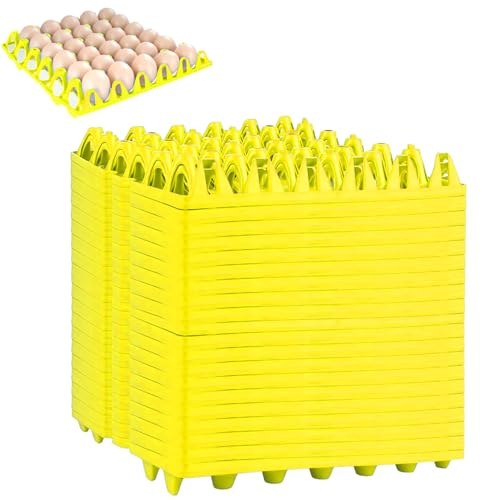 Bandeja para huevos de plástico para 30 huevos, bandeja para 30 huevos, soporte para 30 huevos al por mayor, 20 unidades de almacenamiento de huevos de plástico, para guardar huevos (amarillo)