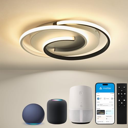 Bayht Ceiling Light Yin-Yang