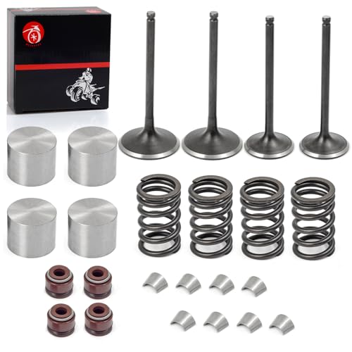 Engine Intake Valve & Exhaust Valve Spring seal Kit Compatible with Suzuki LTZ 400 LT-Z400 Quadsport Z400 2003-2014 DR-Z400 DRZ 400 E/S/SM 2000-2022 12911-29F00 12912-29F00