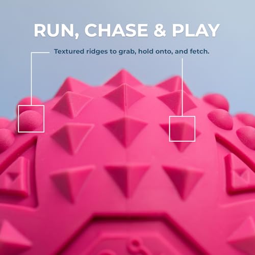 Image of Best Pet Supplies Squeaky Dog Toys with Soft Durable Fabric for Small, Medium and Large Pets Interactive Toy for Indoor Play, Supports Active Biting and Play - Fuchsia (L:3.5 inch)