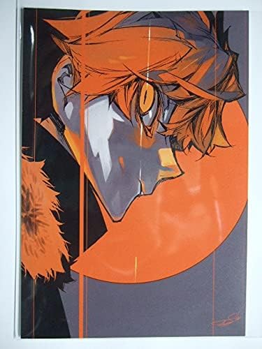 ワンダーグー 限定 文豪ストレイドッグス Beast 3巻 ポストカード 特典 イラストカード Wondergoo 文スト アニメ 萌えグッズ 通販 Amazon