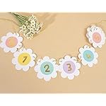 Daisy Monthly Milestone Photo Banner - Boho Daisy 1st Birthday Decor, Pastel Rainbow DaisyFirst Birthday 12 Month Photo Garland, Groovy One FirstBirthday Decoration for Girls - Image 3