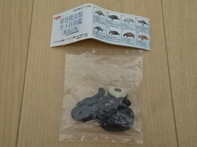 原色爬虫類カメ目図鑑 新改訂版 クサガメ 黒化個体 シークレット 草亀 臭亀 フィギュア ユージン ガシャポン カメ かめ 亀