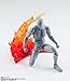TAMASHII NATIONS - Burning Flame Red ver. for S.H.Figuarts Tamashii Effect