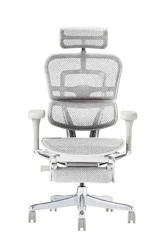 エルゴヒューマン プロ2 オットマン グレーフレーム/ホワイトメッシュ