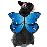 Butterfly Costume for Dog Cat,Butterfly Wings Costume for Small Medium Large Dogs Cats,Dog Costume for Halloween