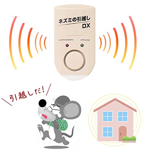 ネズミ駆除グッズのおすすめ10選！超音波タイプも | HEIM [ハイム]