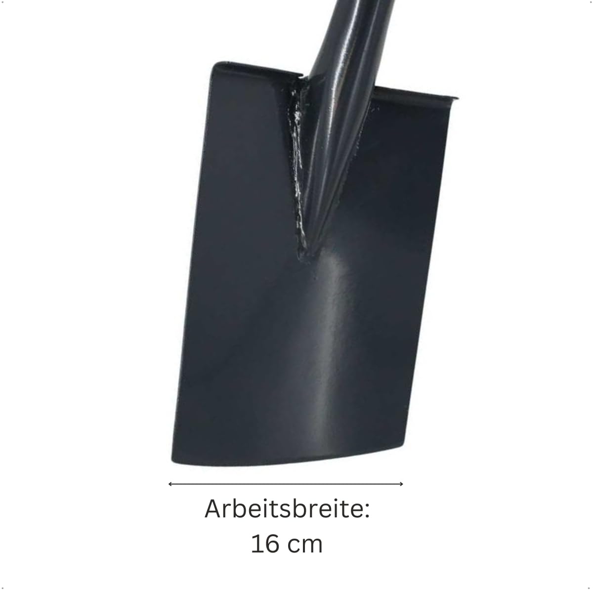 Rekord Damenspaten (Stahl, pulverbeschichtet) mit 85 cm T-Stiel aus Buchenholz, Arbeitsbreite 16 cm, Gewicht 1,6 kg, Gärtnerspaten, für leichtes Umgraben von schweren Böden