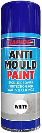 Rapide Anti Mould Spray Paint, 400 ml
