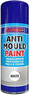 Rapide Anti Mould Spray Paint, 400 ml