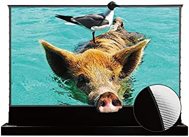 Vivid Storm Since 2004-120 Inch S PRO Motorized Floor-Rising Screen - Crystal-Clear Image Quality with Perfect Flatness | 4K/8K Ultra HD | Easy-to-Install Motorized Floor-Rising Design,VSDSTUST120H