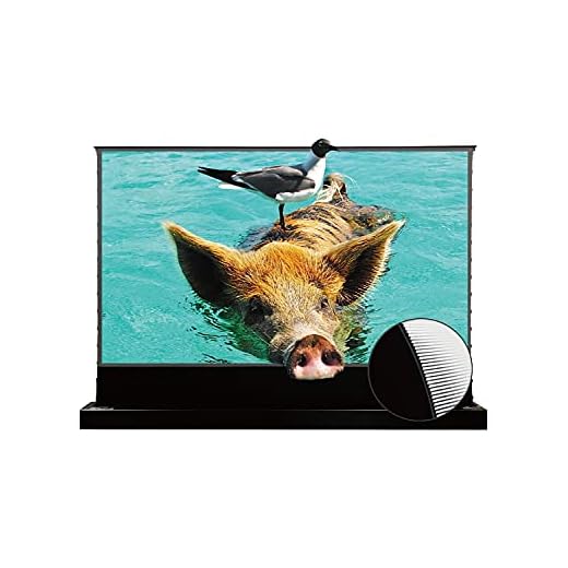 Vivid Storm Since 2004-Projector Screen S PRO 120 inch Screen with Stand Floor UST Ambient Light Rejecting,Compatible for 4K Ultra Short Throw Laser Projector,VSDSTUST120H