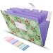 Skydue Floral Printed Accordion Document File Folder Expanding Letter Organizer (Green)