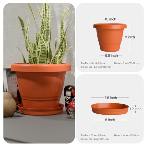 Image of YUCCABE ITALIA SHERA SD 10 INCH Pack of 8 with Bottom Tray Plastic Flower Pot Unbreakable Round Shape Planter for Garden Seedling Indoor and Outdoor