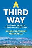 A Third Way: Decolonizing the Laws of Indigenous Cultural Protection