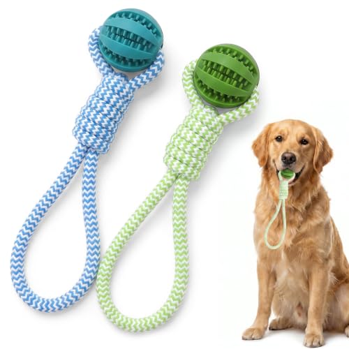 2er Set Zerrspielzeug für Hunde, Baumwollseil mit Gummibällen, Interaktives Kauspielzeug & Bissfestes Trainingsspielzeug zum Ziehen, Beißen und Trage, Ideal für Großer und Kleine Hunde (Blau