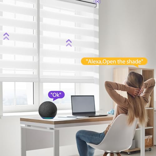 Motorized Zebra Blinds for Window with Remote Control, Compatible with Alexa, Smart Dual Layer Shades - White, H72 x W29