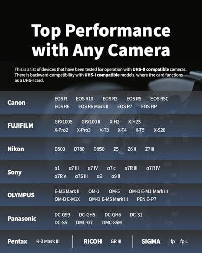 Image of Nextorage 128GB UHS-II V60 SDXC Memory Card Max Read Speed 280MB /s Max Write Speed 100MB /s (F2SE Series)