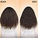 Gisou Honey Gloss Ceramide Therapy Hydrating Conditioner – Deep Hydration, Detangling & Shine, with Fermented Mirsalehi Honey, Ceramides & Silk Proteins, All Hair Types, 200 ml