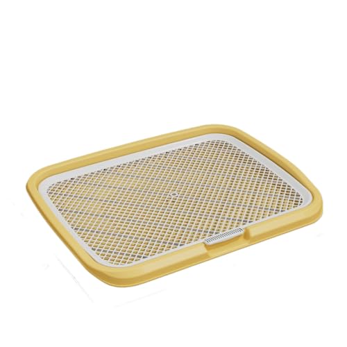 OGXN ^gC bVybggC tFXt O\ ێ ^ ^ ^p p (L-)