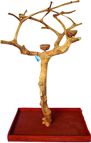 A&E Cage Company Small Java Wood Tree Boxed - 38"x24"x61"