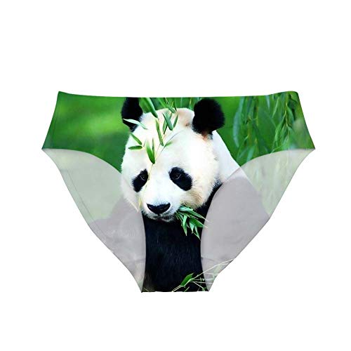 Culotte hipster avec imprimé animal drôle sous-vêtements sexy bikini pour femme/fille Cadeau de fête d'enterrement de vie de jeune fille, Adorable panda, XL Cover